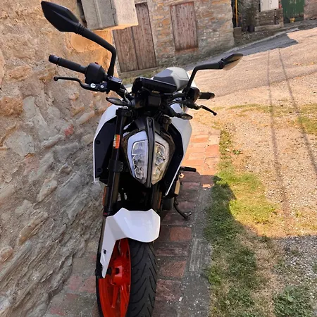 La Corte Dei Celti San Benedetto Del Querceto