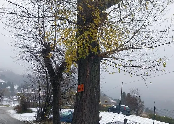 La Corte Dei Celti *