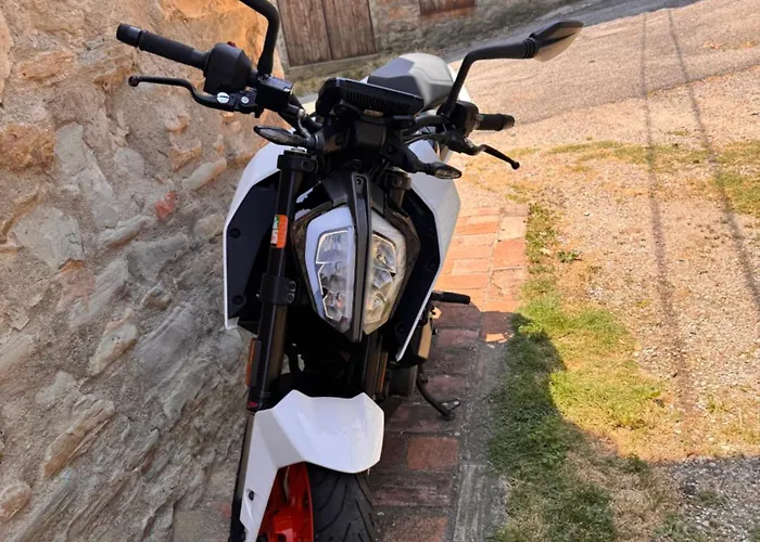 La Corte Dei Celti San Benedetto Del Querceto